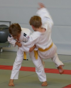 Prüfung_Gelb_Orange_2014_2